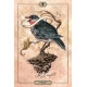 Таро Тиші - Hush Tarot. US Games Systems