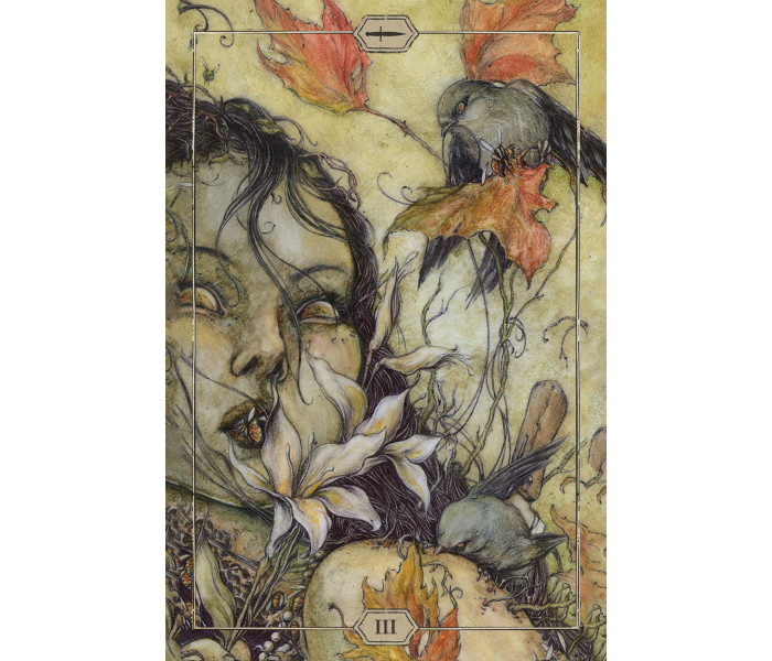 Таро Тиші - Hush Tarot. US Games Systems