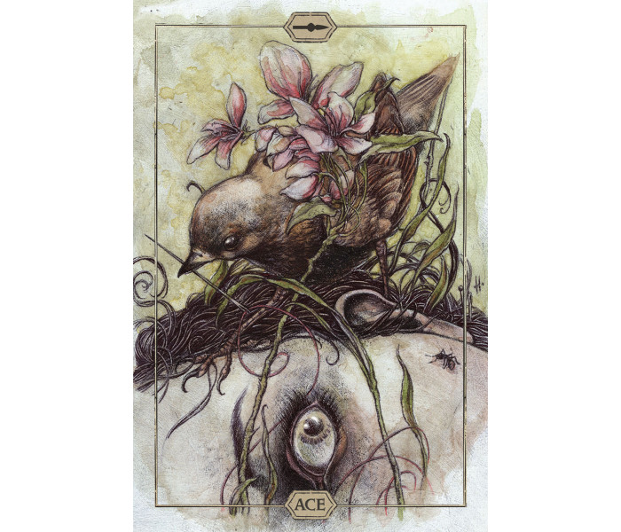Таро Тиші - Hush Tarot. US Games Systems