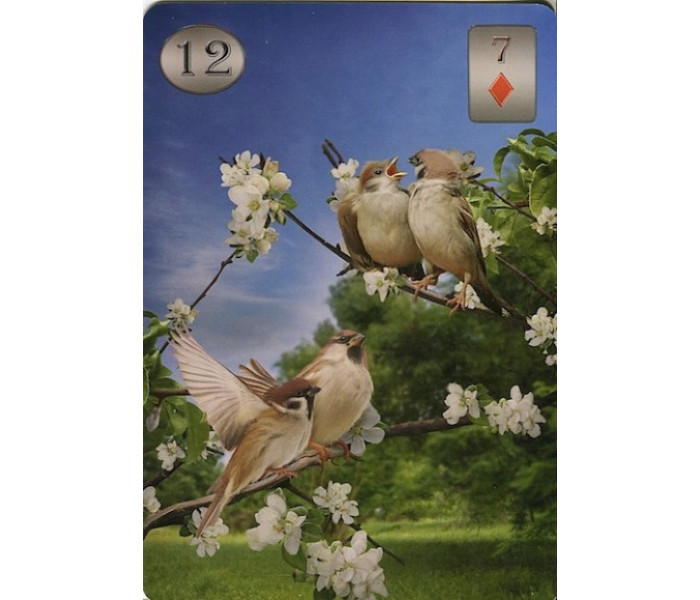 Оракул Телема Ленорман. Thelema Lenormand Oracle. Lo Scarabeo