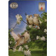 Оракул Телема Ленорман. Thelema Lenormand Oracle. Lo Scarabeo