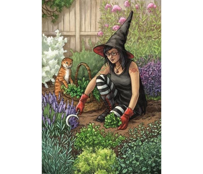 Оракул Ведьма Каждый День - Everyday Witch Oracle. Llewellyn