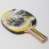 Фото 2 - Набір для настільного тенісу 1 ракетка, 3 м’ячі із чохлом DONIC LEVEL 500 MT-788480 TOP TEAM