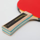 Ракетка для настольного тенниса 1 штука DONIC LEVEL 500 MT-723062 WALDNER
