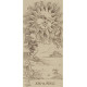 Старшие Арканы Таро Дюрера. MyTarot