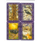 Вікканський Оракул Відьом. MyTarot
