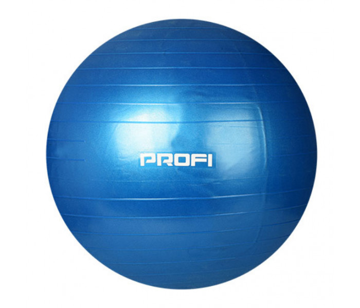 Фітбол (М’яч для фітнесу) з насосом Profiball 65 см, колір в асорті (MS 1540)