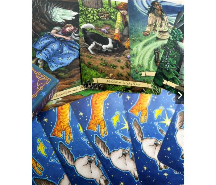 Ежедневный Оракул Ведьм. MyTarot