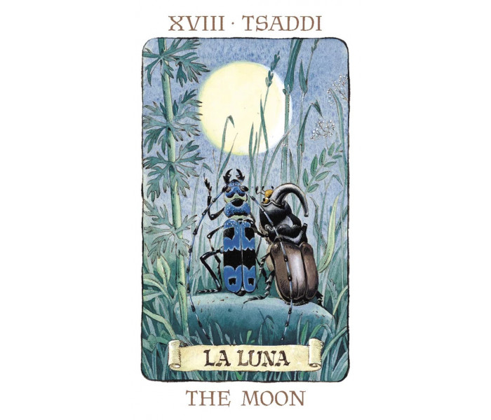 Таро Гномов - Tarot of the Gnomes. Lo Scarabeo