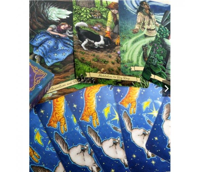 Щоденний Оракул Відьом - Everyday Witch Oracle. China