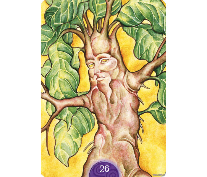 Викканский оракул - Wicca Oracle Cards . Lo Scarabeo