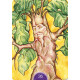 Викканский оракул - Wicca Oracle Cards . Lo Scarabeo