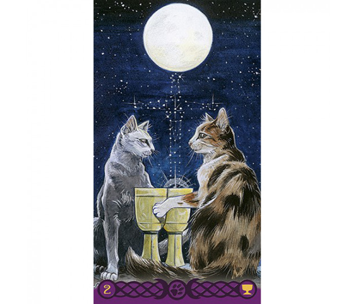 Таро Языческих Кошек — Tarot of Pagan Cats. Lo Scarabeo