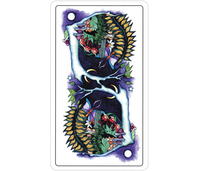 Таро Місячного саду - Tarot of a Moon Garden. US Games Systems