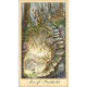 Ghosts and Spirits Tarot - Таро Примар та Духів. US Games Systems