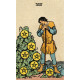 Smith-Waite Tarot Deck Borderless - Безрамочное Таро Смита-Уэйта. U.S. Games Systems