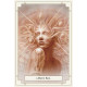 White Light Oracle Deck — Оракул Белого Света. Blue Angel