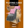 Фото 1 - Гральні карти Собаки - Playing Cards Dogs. Lo Scarabeo