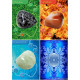 Оракул Дорогоцінного Каміння - Gems Oracle Cards.Lo Scarabeo