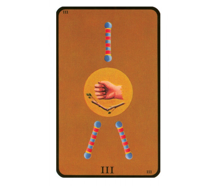 Tarot of the Witches Premier Edition - Таро відьм Прем’єр-видання. US Games Systems