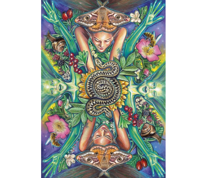 Таро чар на кожен день: магія в гущавині життя - The Everyday Enchantment Tarot: Finding Magic in the Midst of Life. Schiffer Publishing