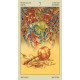 Таро Индейцев Америки — Native American Tarot. Lo Scarabeo
