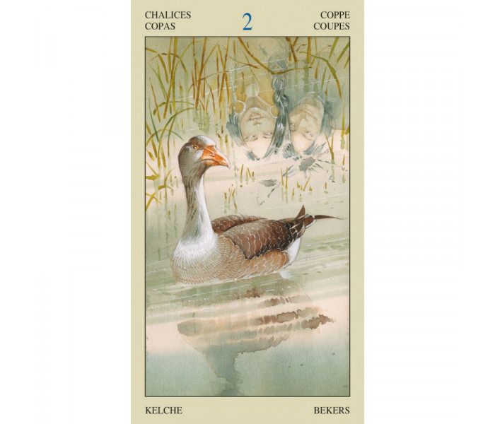 Таро Индейцев Америки — Native American Tarot. Lo Scarabeo