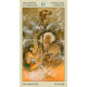 Таро Индейцев Америки — Native American Tarot. Lo Scarabeo