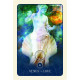 Астрологические карты Черной Луны - Black Moon Astrology Cards. Blue Angel