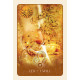 Астрологические карты Черной Луны - Black Moon Astrology Cards. Blue Angel