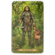 Таро Зачарованого Лісу - Forest of Enchantment Tarot. Llewellyn