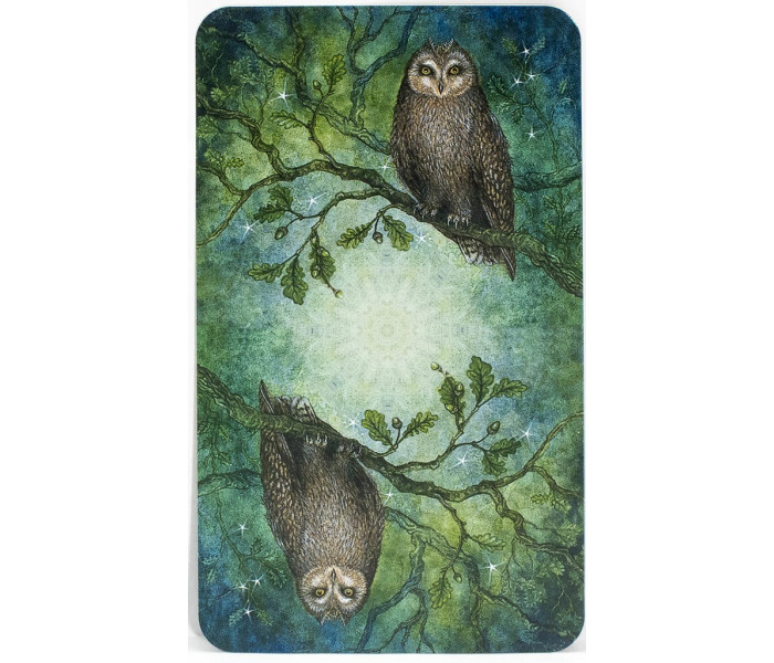 Таро Зачарованого Лісу - Forest of Enchantment Tarot. Llewellyn