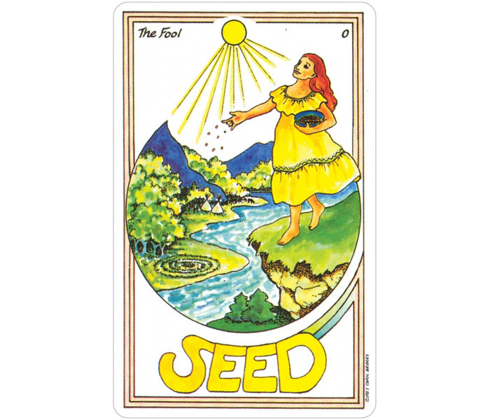 Таро Цілительки - Medicine Woman Tarot. US Games Systems