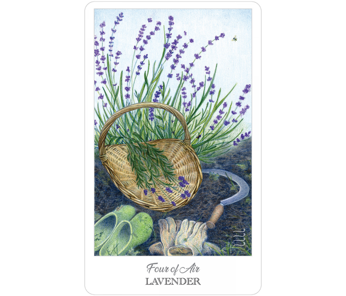 Таро Травника - The Herbcrafter’s Tarot. US Games Systems