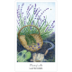Таро Травника - The Herbcrafter’s Tarot. US Games Systems