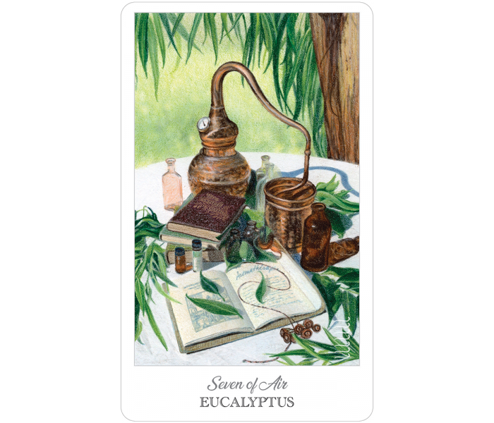 Таро Травника - The Herbcrafter’s Tarot. US Games Systems