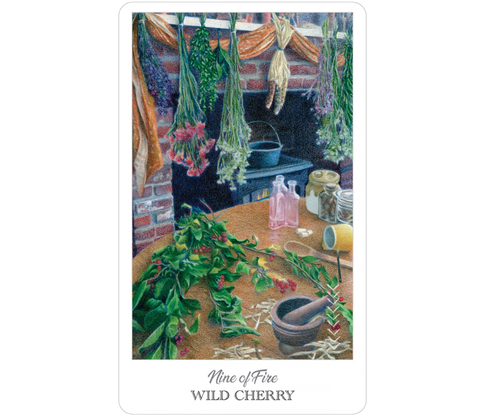 Таро Травника - The Herbcrafter’s Tarot. US Games Systems