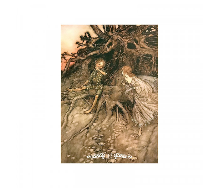 Оракул Фей — Fairy Oracle. Lo Scarabeo