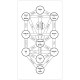 Tarot of the Spirit - Таро Духа. U.S. Games Systems