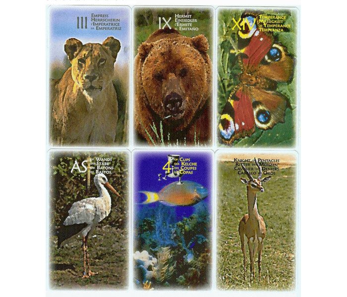 Таро Сила Животных — Power Animal Tarot. AGM Muller