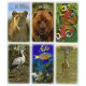 Таро Сила Животных — Power Animal Tarot. AGM Muller