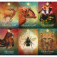 Оракул Дух Тварини - The Spirit Animal Oracle (Colette Baron-Reid). Hay House