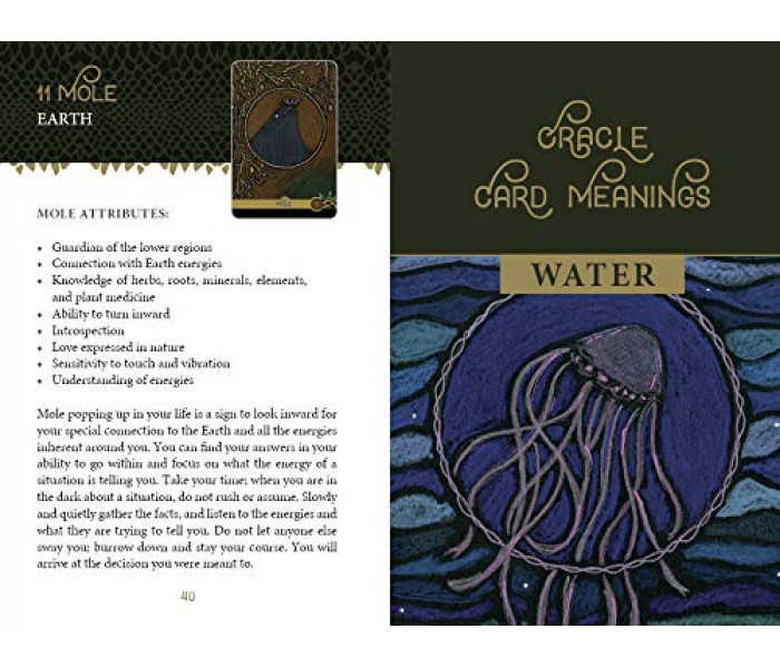 The Wild Elemental Oracle — Оракул Диких Стихий. Schiffer Publishing