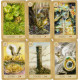Fairy Tale Lenormand - Казкова Ленорман. China