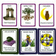Elemental Tarot for Kids by Rayne Storm - Таро елементалей для дітей. Schiffer Publishing