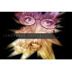 Lenormand Cartomancy - Оракул Ленорман. Schiffer Publishing