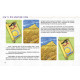 Egyptian Lenormand - Єгипетська Ленорман. Schiffer Publishing