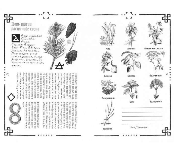 Книга Викка: книга теней. Арабо Саргсян