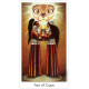 Таро Кошачьего Народа - Tarot of the Cat People. U.S. Games Systems