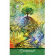 Оракул Зеркальной Истины Ленорман - Mirror Truth Lenormand Cards. Schiffer Publishing